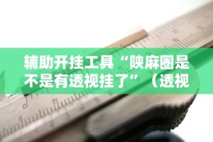 辅助开挂工具“陕麻圈是不是有透视挂了”（透视挂）辅助神器教程