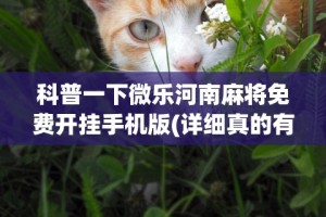 辅助神器“哈灵江苏麻将开挂免费软件”附开挂脚本详细步骤