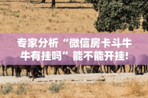 专家分析“微信房卡斗牛牛有挂吗”能不能开挂!