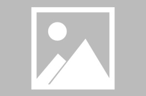 玩家攻略科普“湖南字牌跑胡子辅助器大全”确实果然有挂