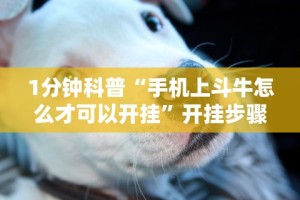 1分钟科普“手机上斗牛怎么才可以开挂”开挂步骤方法