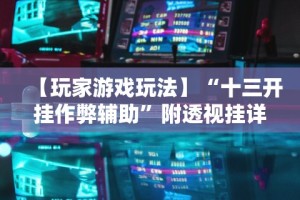 【玩家游戏玩法】“十三开挂作弊辅助”附透视挂详细教程