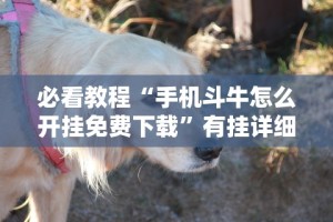 必看教程“手机斗牛怎么开挂免费下载”有挂详细开挂教程