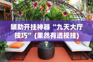辅助开挂神器“九天大厅技巧”(果然有透视挂)