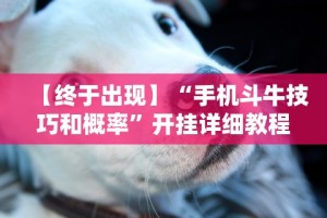 【终于出现】“手机斗牛技巧和概率”开挂详细教程