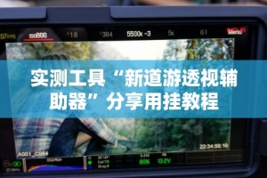 实测工具“新道游透视辅助器”分享用挂教程
