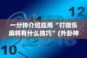 实操教程“微信家乡大贰辅助器免费版最新版”详细分享装挂步骤教程
