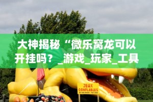 大神揭秘“微乐窝龙可以开挂吗？_游戏_玩家_工具