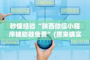 秒懂经验“陕西微信小程序辅助器免费”(原来确实是有挂)