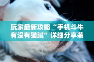 玩家最新攻略“手机斗牛有没有猫腻”详细分享装挂