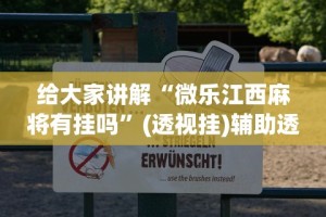 给大家讲解“微乐江西麻将有挂吗”(透视挂)辅助透视教程