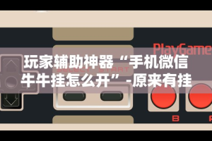 玩家辅助神器“手机微信牛牛挂怎么开”-原来有挂