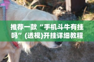 独家脚本实测“微乐贵阳捉鸡麻将有挂没”详细分享装挂步骤