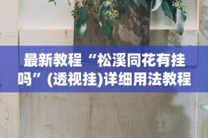 最新教程“松溪同花有挂吗”(透视挂)详细用法教程
