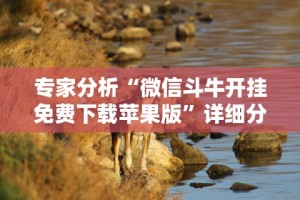 专家分析“微信斗牛开挂免费下载苹果版”详细分享装挂步骤