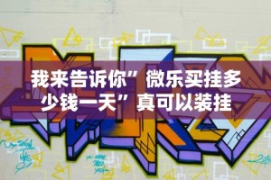 我来告诉你”微乐买挂多少钱一天”真可以装挂