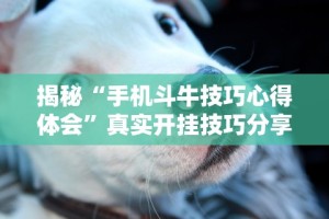 最新技术“微乐家乡麻将挂免费下载手机版”科技辅助神器手机版