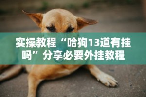 18秒详论!越乡游十三水原来可以开挂”开挂辅助详细步骤