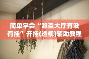 简单学会“超圣大厅有没有挂”开挂(透视)辅助教程