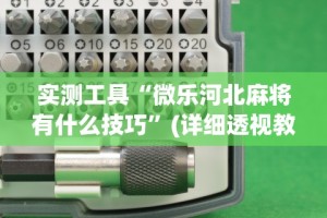 实测工具“微乐河北麻将有什么技巧”(详细透视教程)-知乎