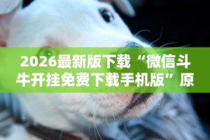 2026最新版下载“微信斗牛开挂免费下载手机版”原来可以开挂
