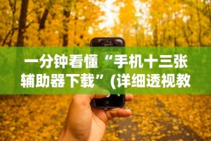 一分钟看懂“手机十三张辅助器下载”(详细透视教程)