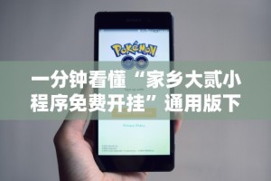 专用辅助“闲来湖南跑胡子有挂吗”(原来确实是有插件)