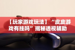 【玩家必看实操】“随身13道有什么技巧”(透视)其实确实有挂