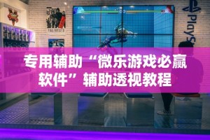 专用辅助“微乐游戏必赢软件”辅助透视教程
