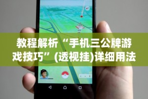 教程解析“手机三公牌游戏技巧”(透视挂)详细用法教程