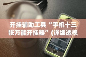 开挂辅助工具“手机十三张万能开挂器”(详细透视教程)