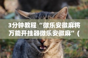 3分钟教程“微乐安徽麻将万能开挂器微乐安徽麻”(曝光透视必备猫腻)