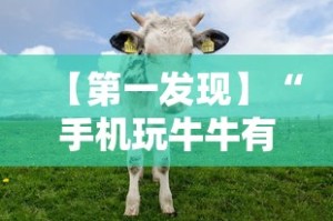 【第一发现】“手机玩牛牛有挂吗”-开挂神器-包教包会