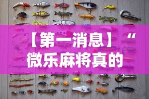 【第一消息】“微乐麻将真的有挂吗”附开挂脚本详细步骤