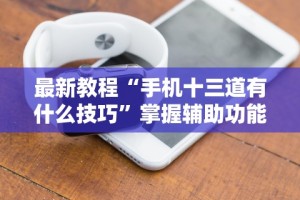 最新教程“手机十三道有什么技巧”掌握辅助功能必胜规则