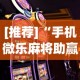 【出现一款新型】“微乐湖南麻将怎么能赢”详细开挂安装教程