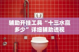 辅助开挂工具“十三水赢多少”详细辅助透视
