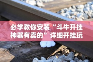 经验传递“微乐山东麻将开挂神器”(其实是有挂)