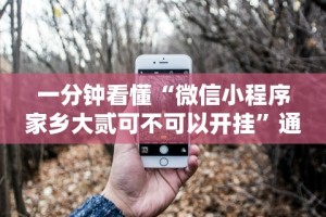 独家实测“微信打哈儿麻将免费开挂”(确实有挂)
