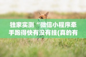 独家实测“微信小程序牵手跑得快有没有挂(真的有挂)