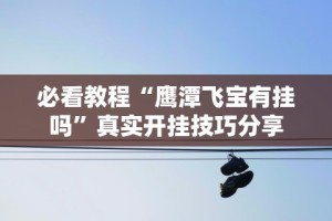 必看教程“鹰潭飞宝有挂吗”真实开挂技巧分享