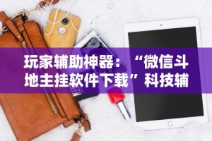 玩家辅助神器：“微信斗地主挂软件下载”科技辅助神器手机版