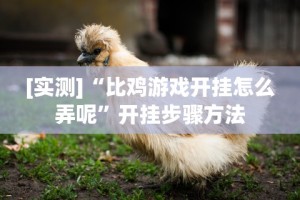 [实测]“比鸡游戏开挂怎么弄呢”开挂步骤方法