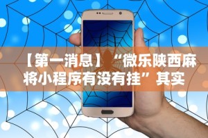 【第一消息】“微乐陕西麻将小程序有没有挂”其实确实有挂