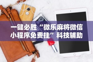 必备科技“微信小程序微乐广西麻将有挂吗”其实有开挂插件!
