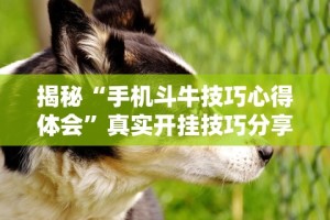 揭秘“手机斗牛技巧心得体会”真实开挂技巧分享