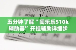 五分钟了解＂闽乐乐510k辅助器”开挂辅助详细步骤