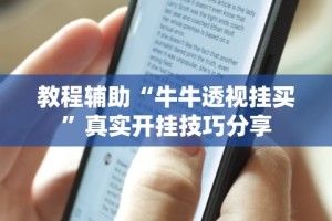 教程辅助“牛牛透视挂买”真实开挂技巧分享