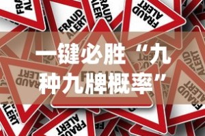 一键必胜“九种九牌概率”作弊挂(辅助外挂+