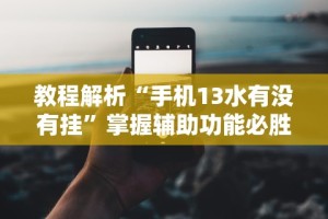 教程解析“手机13水有没有挂”掌握辅助功能必胜规则